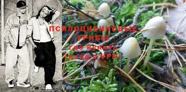 не бодяженный Семёнов