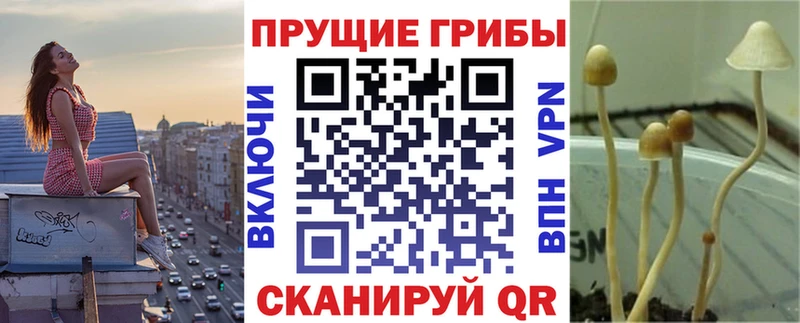 Галлюциногенные грибы мицелий купить Арсеньев