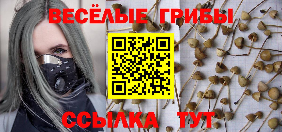 Арсеньев  Псилоцибиновые грибы ЛСД  Вход с VPN 